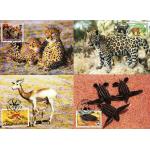 WWF Upper Volta 1984 Beautiful Maxi Cards Cheetah