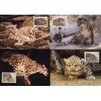 WWF Kyrgyzstan 1994 Beautiful Maxi Cards Snow Leopard