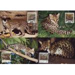WWF El Salvador 1988 Beautiful Maxi Cards Ocelot Wild Cats