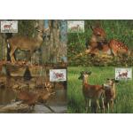 WWF Antillen 1992 Beautiful Maxi Cards Deer