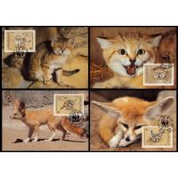 WWF Yemen 1989 Beautiful Maxi Cards Sand Cat