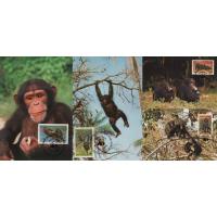 WWF Sierra Leone 1983 Beautiful Maxi Cards Chimpanzees
