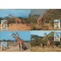 WWF Kenya 1989 Beautiful Maxi Cards Giraffe