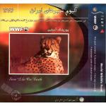 WWF Iran Cheetah Presentation Pack 4 FDC+ 4 Maxi Card + 4 Stamps