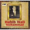 Best Of Habib Wali Mohammad