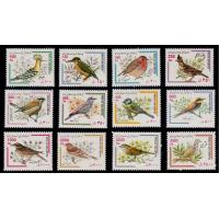 Iran 2000 Stamps Definatives Birds MNH