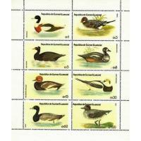 Guinee 1979 Stamps Birds Ducks