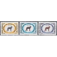Afghanistan 1968 Stamps Agriculture Day Karakul Sheep