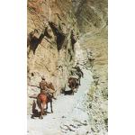Afghanistan Postcard Trekkers In Afghanistan