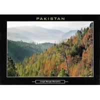 Pakistan Beautiful Postcard Jungle Mangal Mansehra