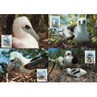 WWF Christmas 1990 Maxi Cards Booby Birds