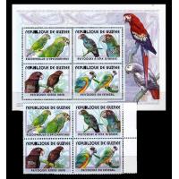 Guinee 2001 S/Sheet & Stamps Birds Parrots MNH