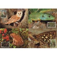 WWF Jersey 1989 Maxi Cards Barn Owl Frog Lizard Etc