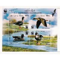 WWF Iran 2014 S/Sheet White Footed Goose MNH