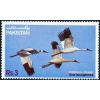 Pakistan Fdc 1983 Brochure & Stamp Siberian Crane