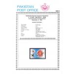 Pakistan Fdc 1998 Brochure & Stamp Ophthalmologic Congress Eye