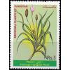 Pakistan Fdc 1999 Brochure & Stamp Medicinal Plants Spogel Seeds