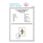 Pakistan Fdc 2001 Brochure & Stamp Medicinal Plants Peppermint