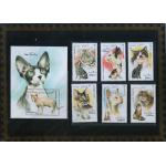 Afghanistan 1996 S/Sheet & Stamps Cats